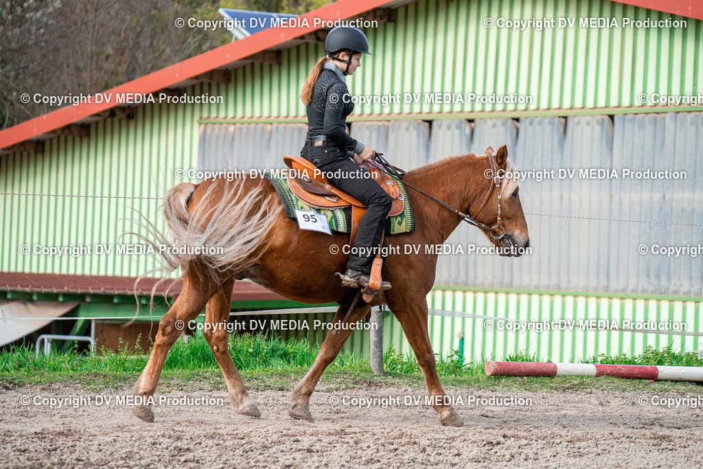 BAL02866 | dv-media-shop - Realisiert mit Pictrs.com