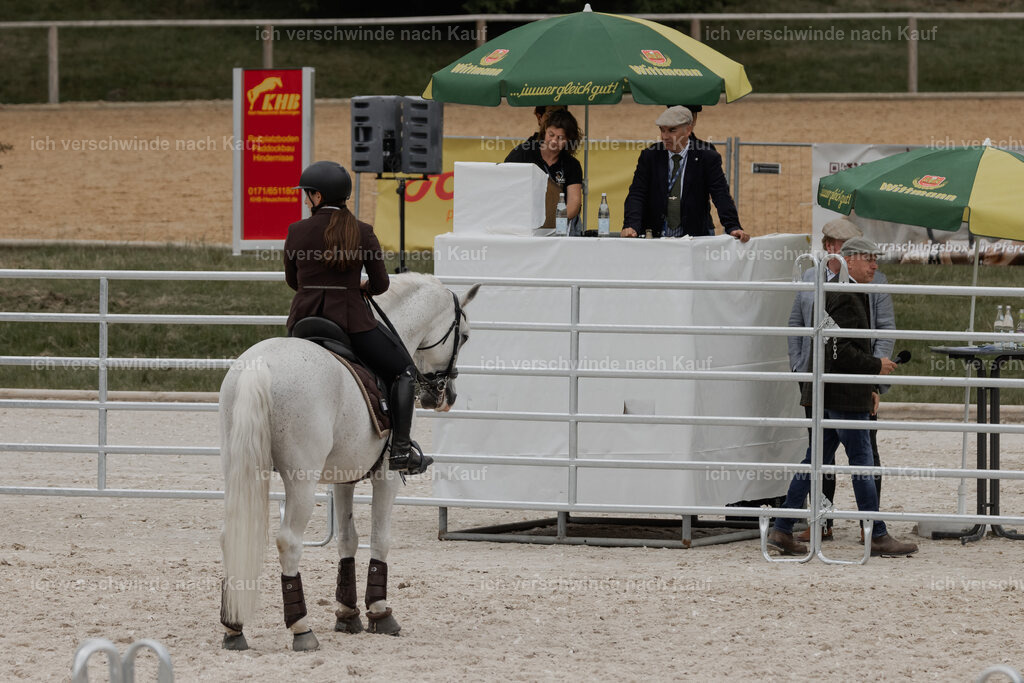 WE__Stoib_Rinder_PI2025_3197 | Pferd International München 2025