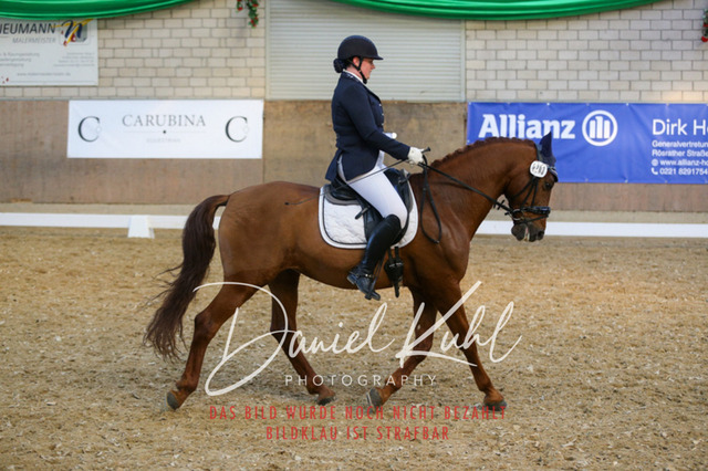 IMG_2699 | Turnierfotos kaufen im Webshop von Daniel Kuhl Photography – entdecke professionelle Reitsportfotos aus Turnieren & Events. Hochwertige Turnierbilder online bestellen & sichern. Jetzt Fotos von Reitsportturnieren kaufen!