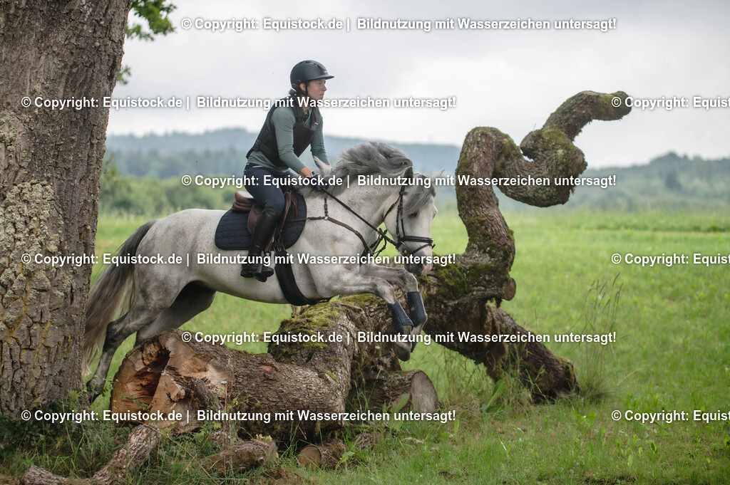 20250726_Vielseitigkeitslehrgang-Marbach_0575 | Foto: Thomas Hartig