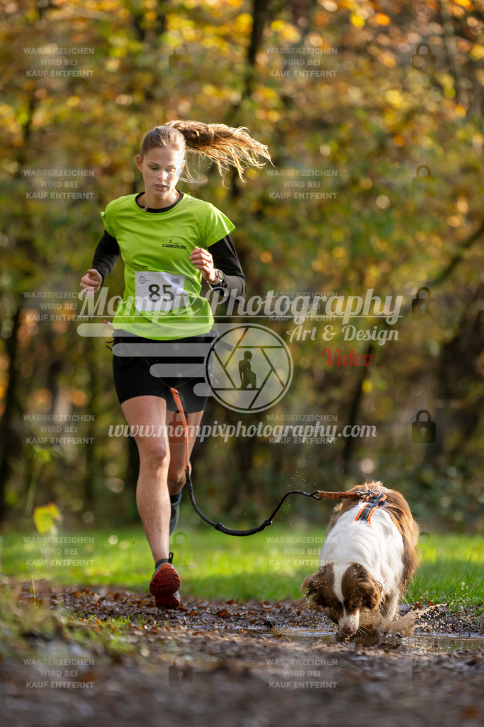 MompixPhotography_Bischwiller23_Canicross-25 | PayLife