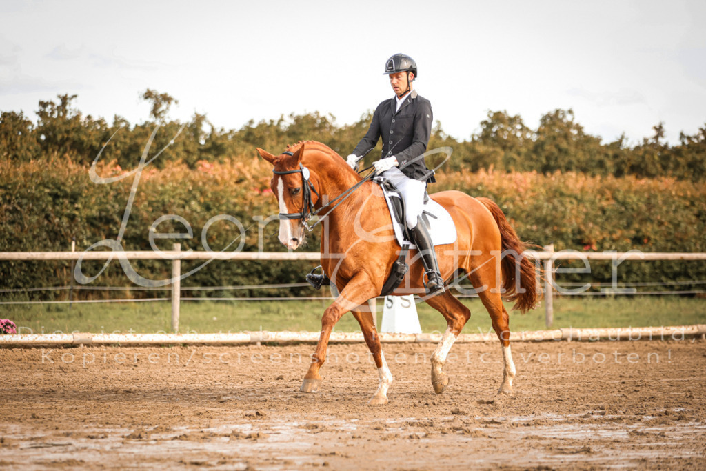 17.SoDrM00237 | Leoni Ertmer Photography - Realisiert mit Pictrs.com