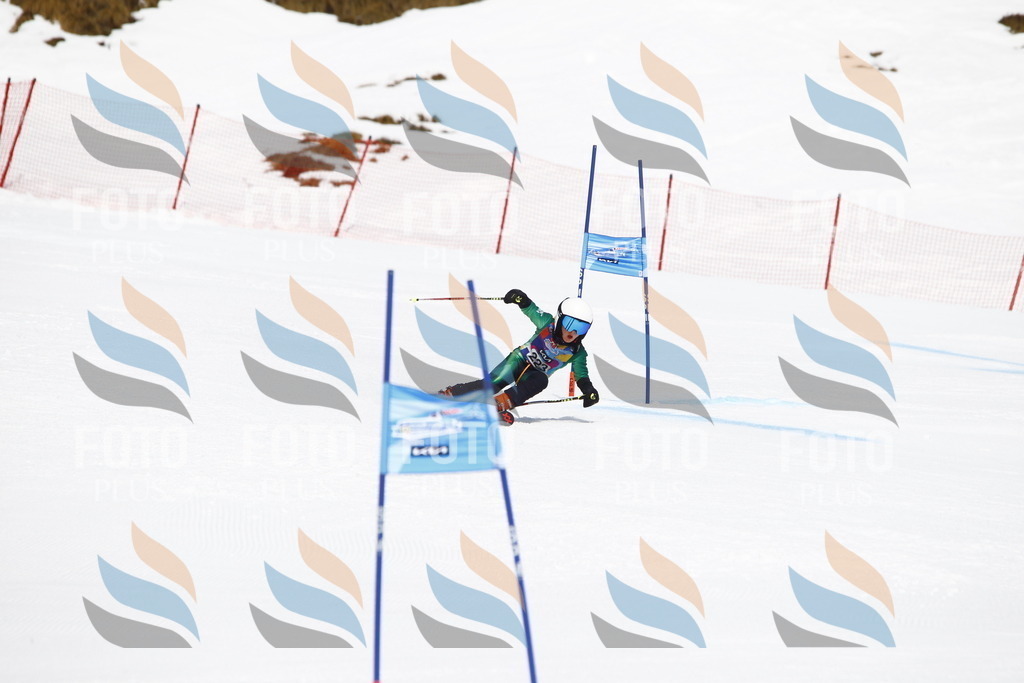 _U3G5741 | holidayphoto