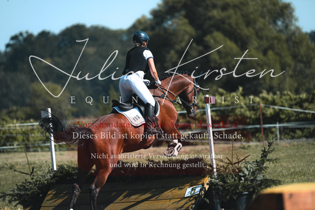 DSC_8147 | Pferde- und Turnierfotografie in Westsachsen. Pferdeportraits, Auftragszeichnungen und intuitive Kunst.
