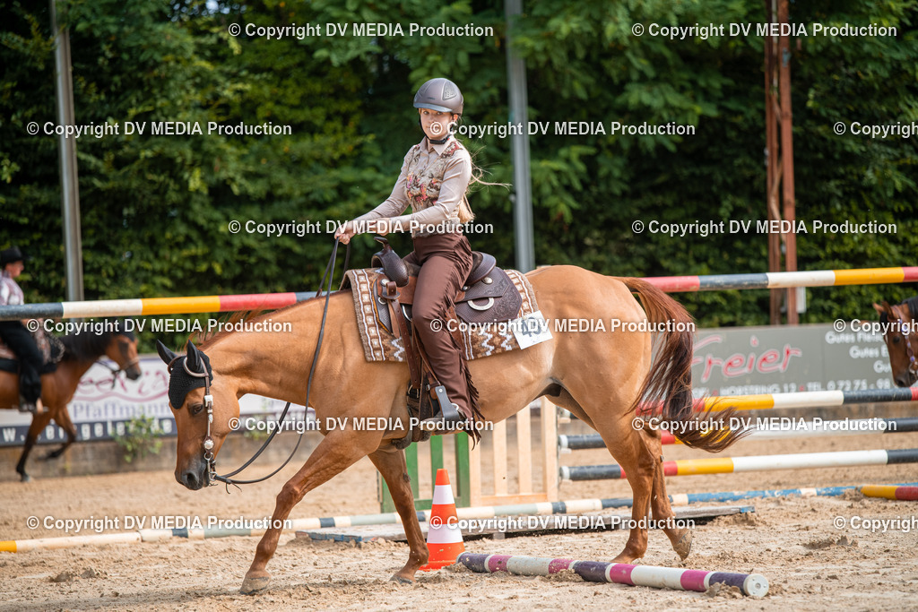 ZS2_7536 | dv-media-shop - Realisiert mit Pictrs.com