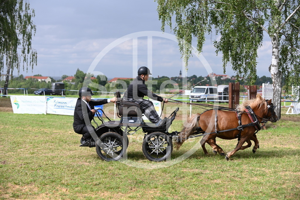 DSC_8852 | sattelsport - Realisiert mit Pictrs.com