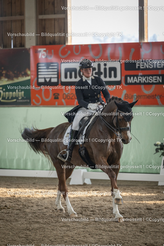 _D5A6648 | Emotionale Pferde- & People-Fotografie rund um Heidelberg, Leimen & Umgebung. Natürliche Fotos von Pferd, Mensch & Familie. Jetzt Termin sichern!