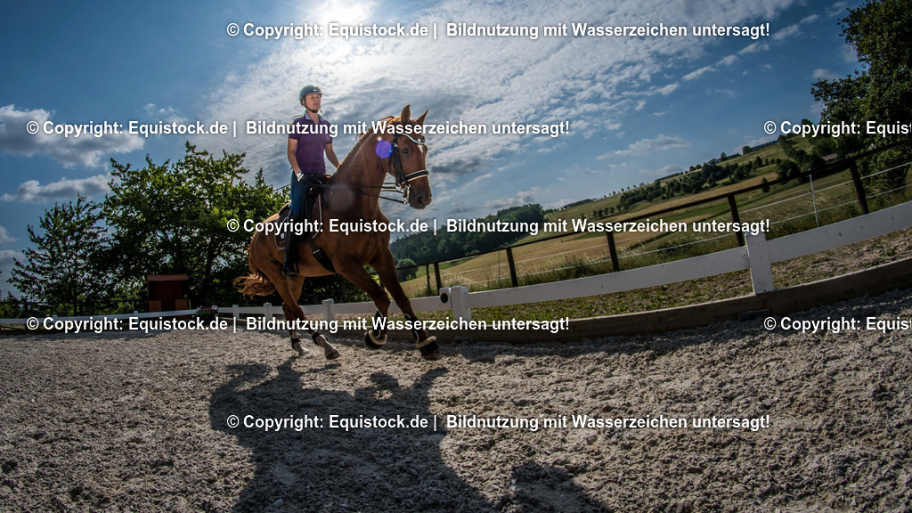 TS_20170624_Fisheye_Dressur_0001 | Foto: Thomas Hartig