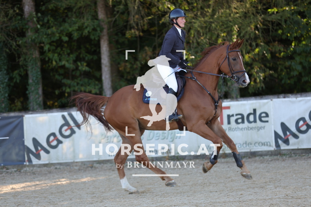 0P6A0994 | Willkommen bei Brunnmayr - Design & Fotografie – Ihrem Spezialisten für Reitturniere und Pferdeveranstaltungen in Oberösterreich, Salzburg und Bayern! Seit über 17 Jahren sind wir leidenschaftlich dabei.