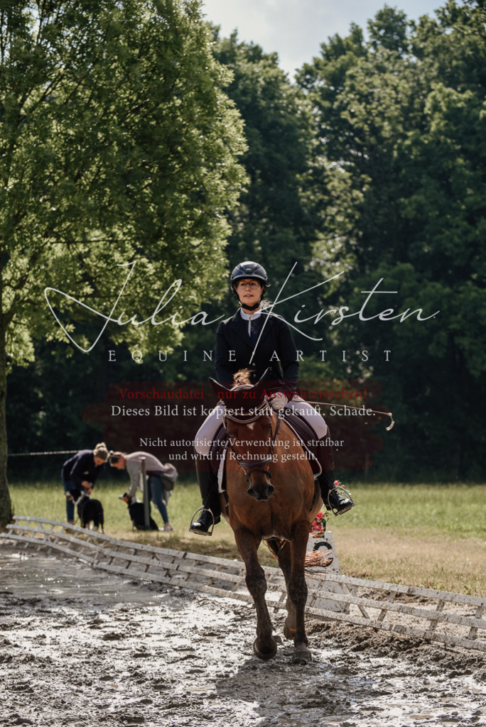 DSC_8844 | Pferde- und Turnierfotografie in Westsachsen. Pferdeportraits, Auftragszeichnungen und intuitive Kunst.