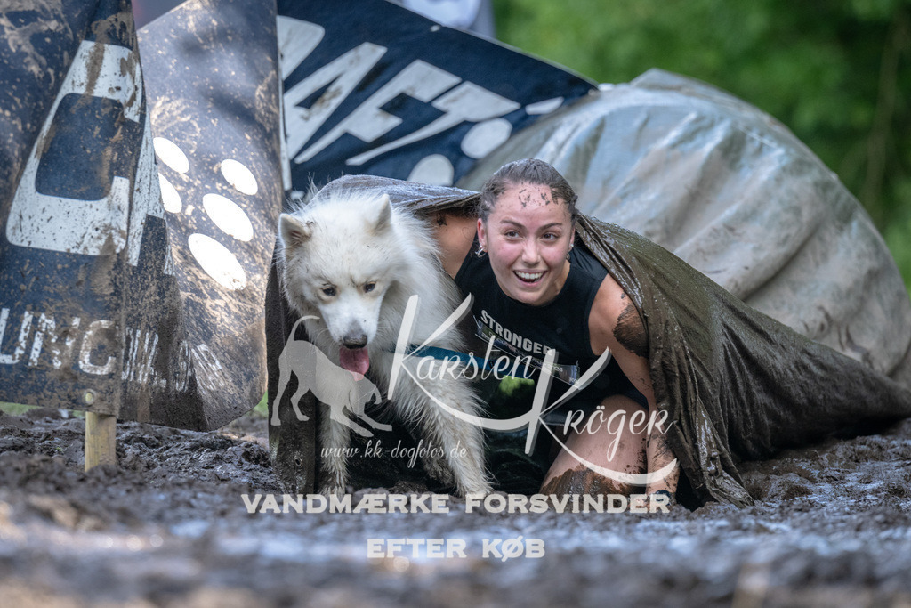1508_ZZ90841 | kk-dogfotos