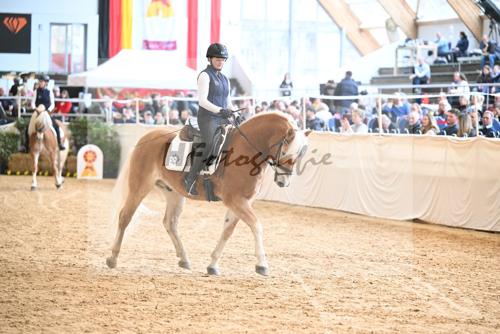 Schauprogramm Haflinger Quadrille_2251507 | hf-fotografie - Realisiert mit Pictrs.com
