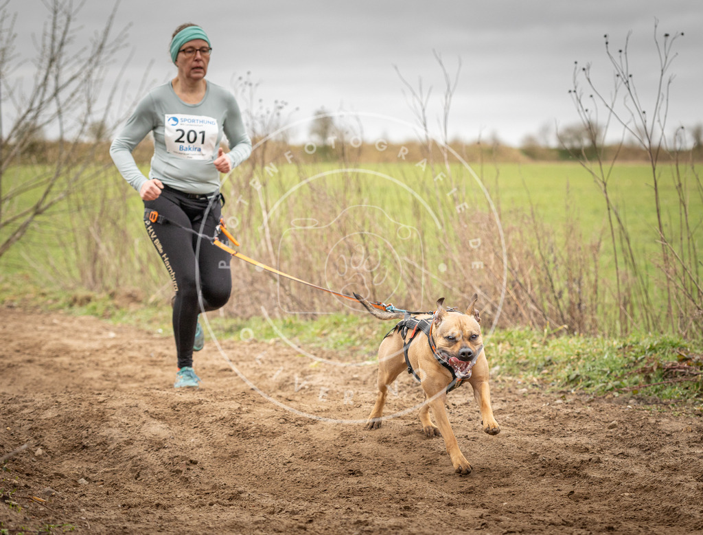 DV3A2493 | Hundefotografie, Tierfotograf, Pfotenfotografie, Fotoshooting Hund, Hunde Portrait, Hundesport, Hundeportraits, Heideshooting, Hunde, Sportfotograf, Hundefotograf, Turnierhundsport, THS,  - Realisiert mit Pictrs.com
