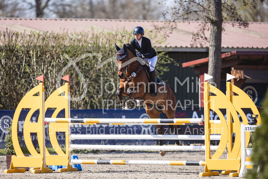 250408_Mühlen_SprPf-L-373 | Deine schönsten Turniermomente als professionelle Fotos! Entdecke hochwertige Pferdesport-Fotografie im Online-Shop. Jetzt Fotos finden & bestellen!