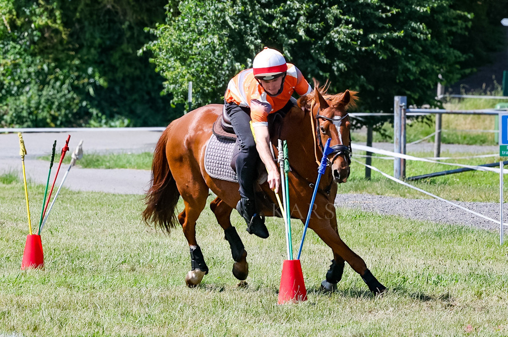 IMG_1632 | Reitsport Reiten
