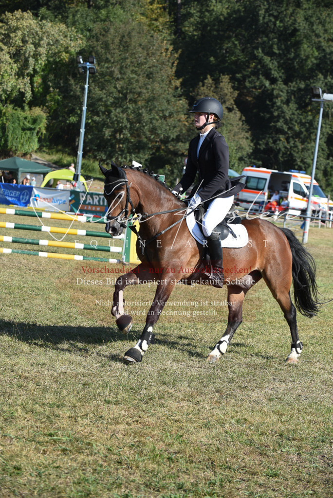 DSC_5424 | Pferde- und Turnierfotografie in Westsachsen. Pferdeportraits, Auftragszeichnungen und intuitive Kunst.