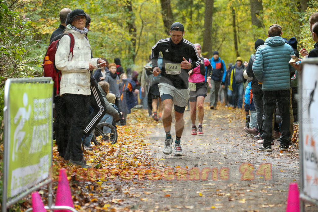 251026_1255_EX1_1939 | Sportfotografie im Rhein-Sieg Kreis, Köln, Bonn, NRW, Rheinland Pfalz, Hessen, etc. Unser Tätigkeitsfeld umfasst den Laufsport vom Volkslauf über den Marathon, Duathlon, Triathon bis zum Ultralauf wie Kölnpfad Ultra oder Schindertrail.