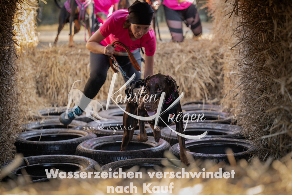 0954_ZZ95318 | kk-dogfotos