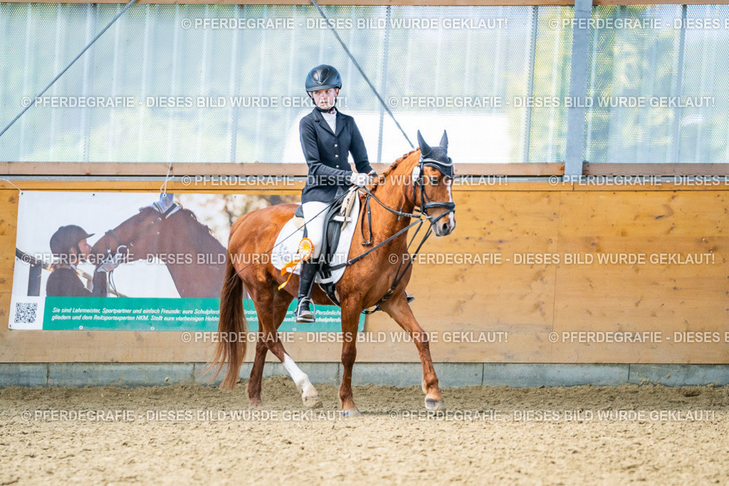 DSC03861 | Pferdegrafie