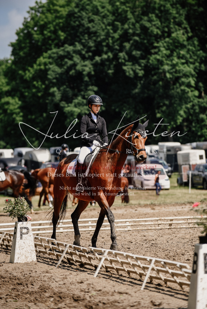 DSC_0992 | Pferde- und Turnierfotografie in Westsachsen. Pferdeportraits, Auftragszeichnungen und intuitive Kunst.
