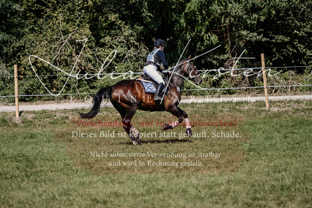 DSC_1854 | Pferde- und Turnierfotografie in Westsachsen. Pferdeportraits, Auftragszeichnungen und intuitive Kunst.