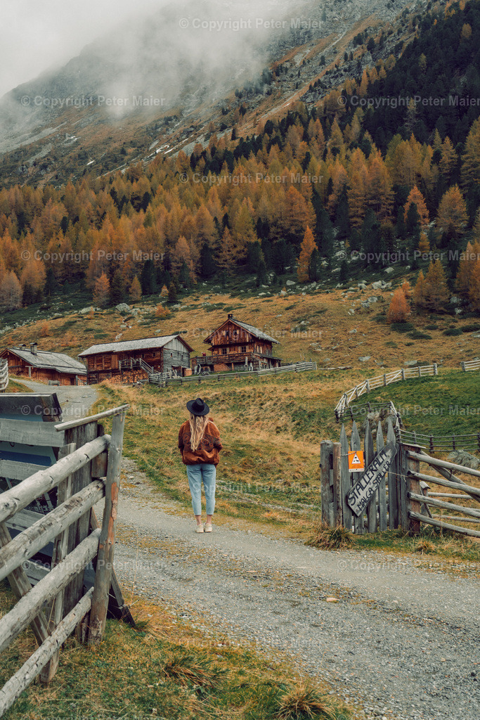 Defereggental_Herbst_2024-691 | piet_flosse