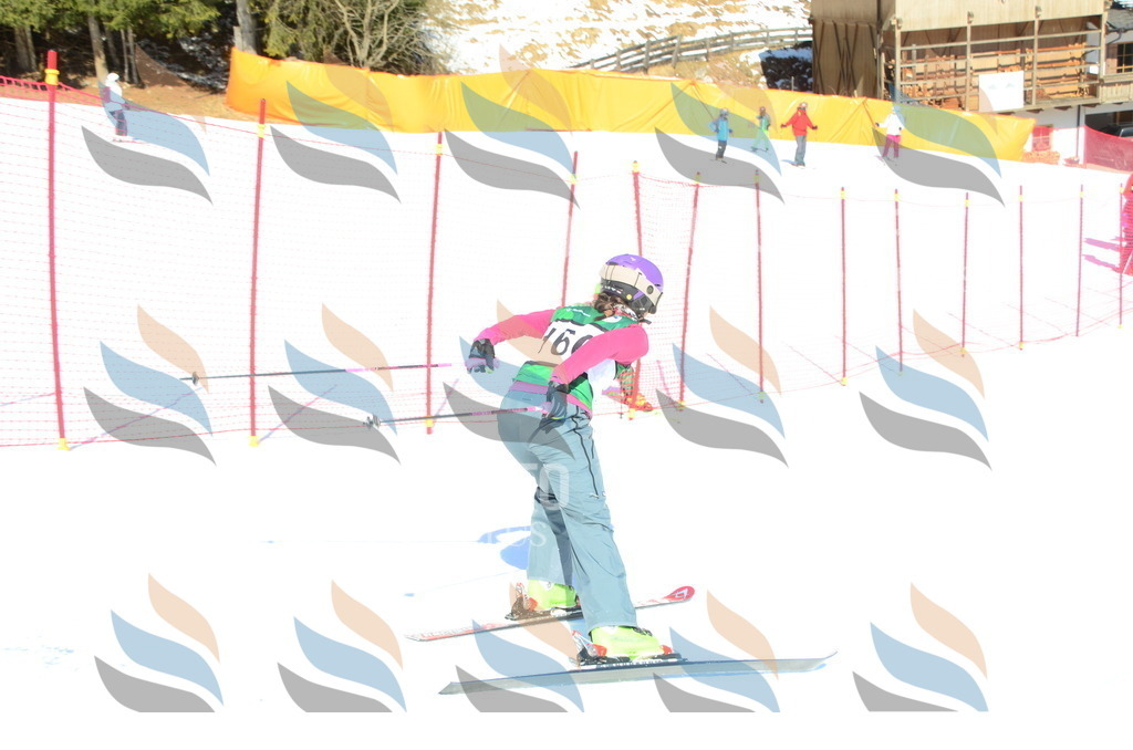 C6207 | holidayphoto