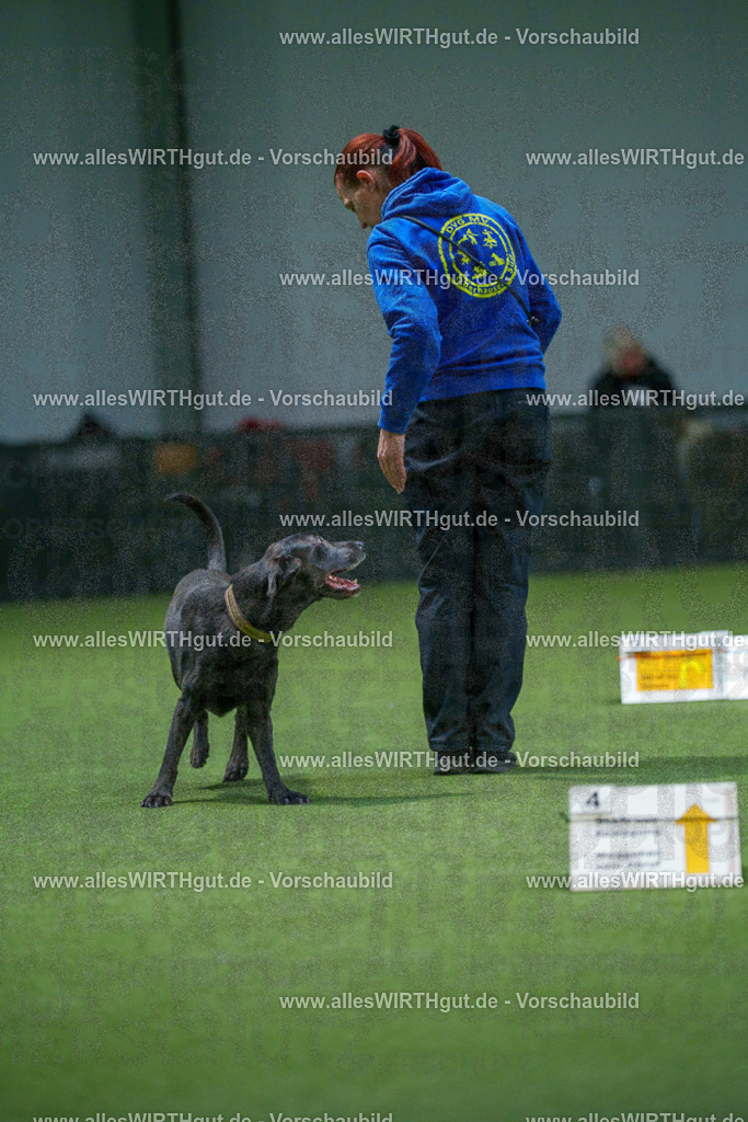 7R507000 | Professionelle Tierfotografie in Mönchengladbach von Daniel Wirth (allesWIRTHgut). Liebevolle & natürliche Bilder von Hunden & Katzen für unvergessliche Erinnerungen.