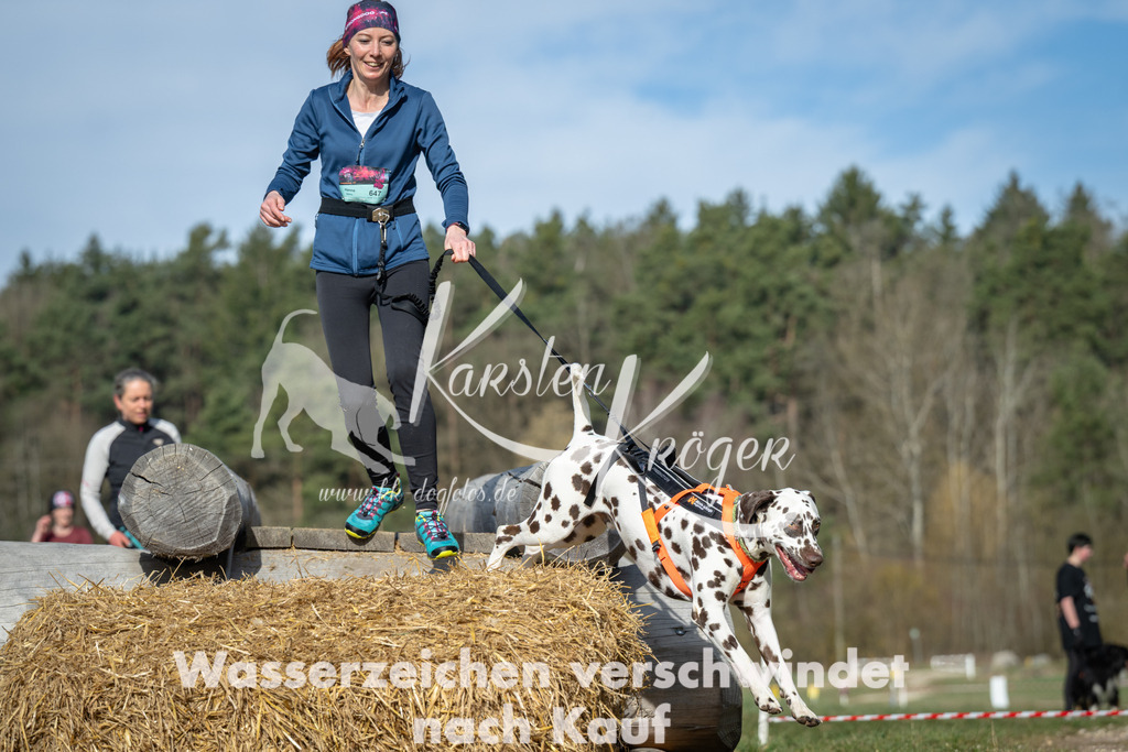 0959_ZZ97892 | kk-dogfotos