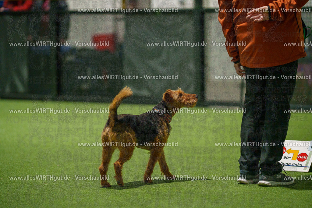 7R509218 | Professionelle Tierfotografie in Mönchengladbach von Daniel Wirth (allesWIRTHgut). Liebevolle & natürliche Bilder von Hunden & Katzen für unvergessliche Erinnerungen.