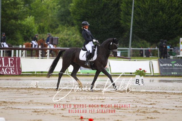 DKP40552 | Turniersportfotografie; Pferdefotografie; Dressurfotografie