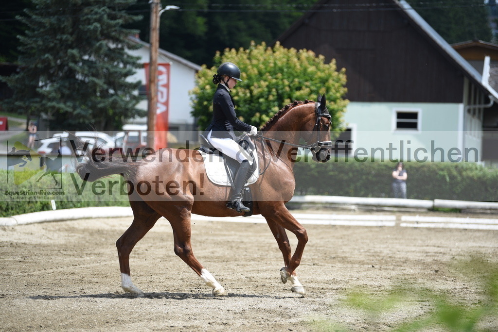 DSC_9560 | equestrian-live-com