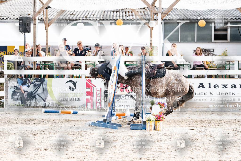 CK907032 | Turnierfotografie Pferdefotografie Trier Rheinland-Pfalz Pferdesport Reitsport Tierfotografie Sportfotografie Pferdevideo Pferdevideografie Equestrianvideography equestrianphotography  - Realisiert mit Pictrs.com