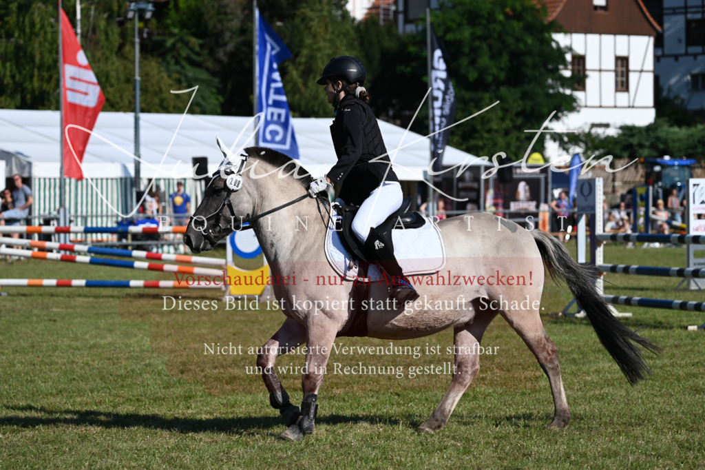 DSC_5246 | Pferde- und Turnierfotografie in Westsachsen. Pferdeportraits, Auftragszeichnungen und intuitive Kunst.