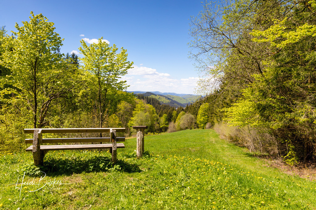 Bank mit Aussicht auf Nordenau | Bank bei der Hubertushütte mit Aussicht auf Nordenau - Realisiert mit Pictrs.com