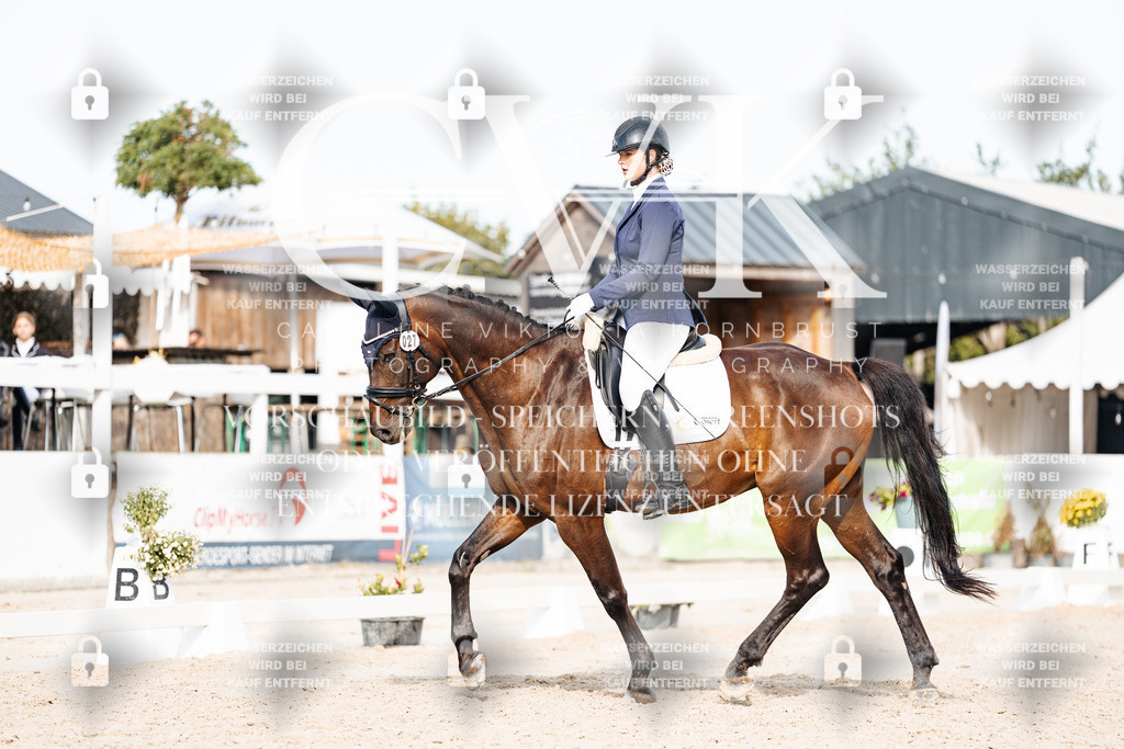 CK905090 | Turnierfotografie Pferdefotografie Trier Rheinland-Pfalz Pferdesport Reitsport Tierfotografie Sportfotografie Pferdevideo Pferdevideografie Equestrianvideography equestrianphotography  - Realisiert mit Pictrs.com