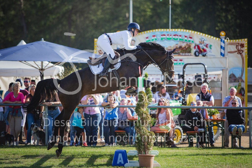 220716_LC_Waldbach-511 | Deine schönsten Turniermomente als professionelle Fotos! Entdecke hochwertige Pferdesport-Fotografie im Online-Shop. Jetzt Fotos finden & bestellen!