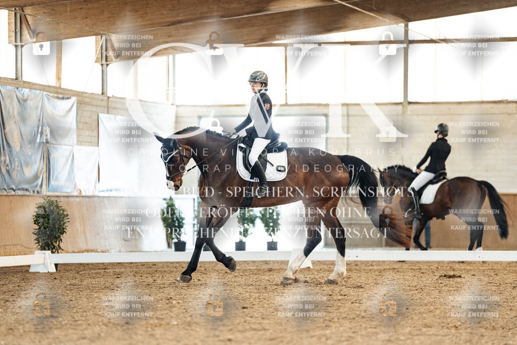 CK908438 | Turnierfotografie Pferdefotografie Trier Rheinland-Pfalz Pferdesport Reitsport Tierfotografie Sportfotografie Pferdevideo Pferdevideografie Equestrianvideography equestrianphotography  - Realisiert mit Pictrs.com