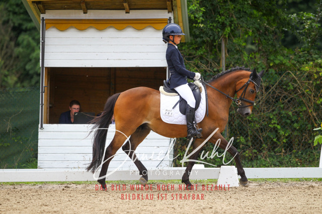 DKP42277 | Turniersportfotografie; Pferdefotografie; Dressurfotografie