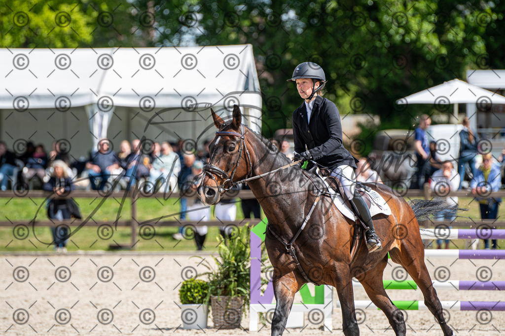 KPT_5210 | andre_photographic