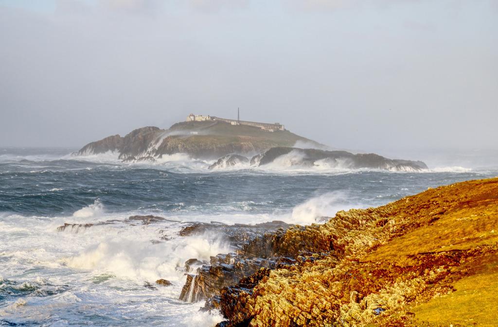 IMG_8616 | www-pimpup-me - Realisiert mit Pictrs.com