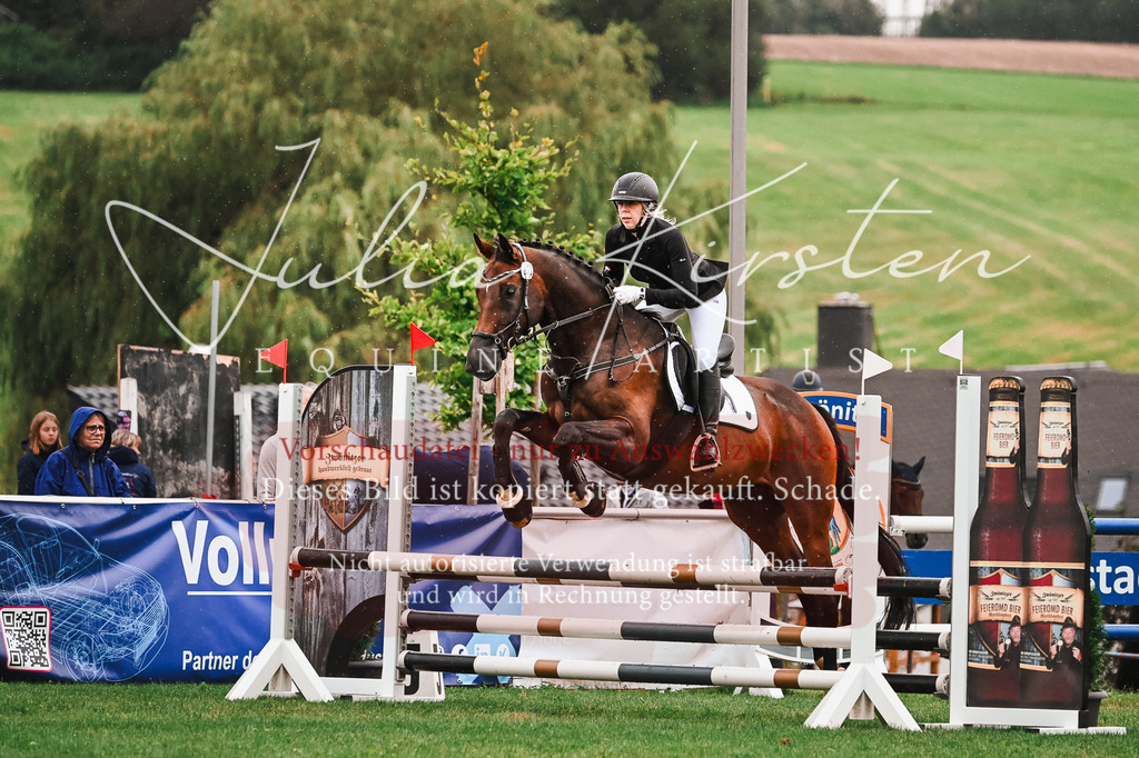 DSC_6558 | Pferde- und Turnierfotografie in Westsachsen. Pferdeportraits, Auftragszeichnungen und intuitive Kunst.