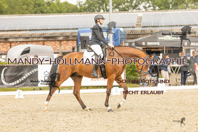 SW 4-1142 | mandyhollmannphotographie