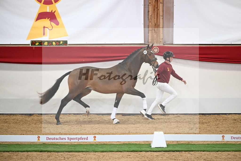 Kat.-Nr. 41 v. Baccardi_s Best_Beckmann_2250004 | hf-fotografie - Realisiert mit Pictrs.com