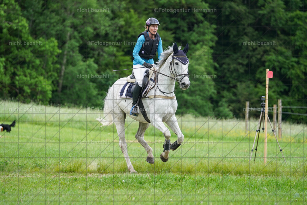 20240518-FAH03726 | Turnierbilder von Niederseon, Turnierfotografen Bayern, Fotoagentur Herrmann, Geländebilder, Reitsportfotografie