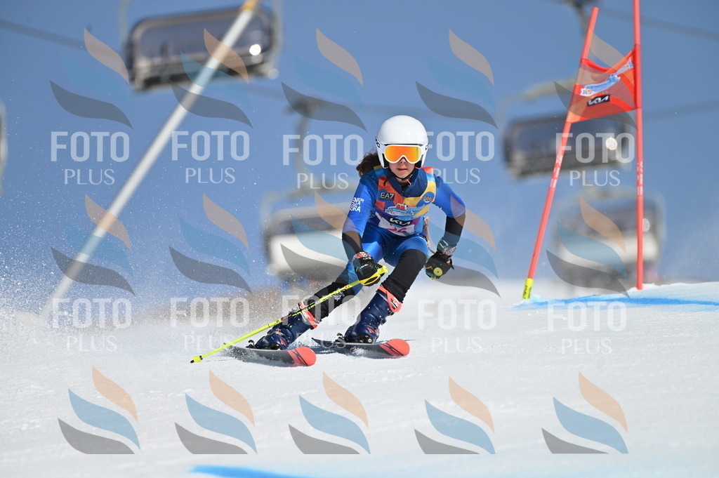 BGV_8068 | holidayphoto