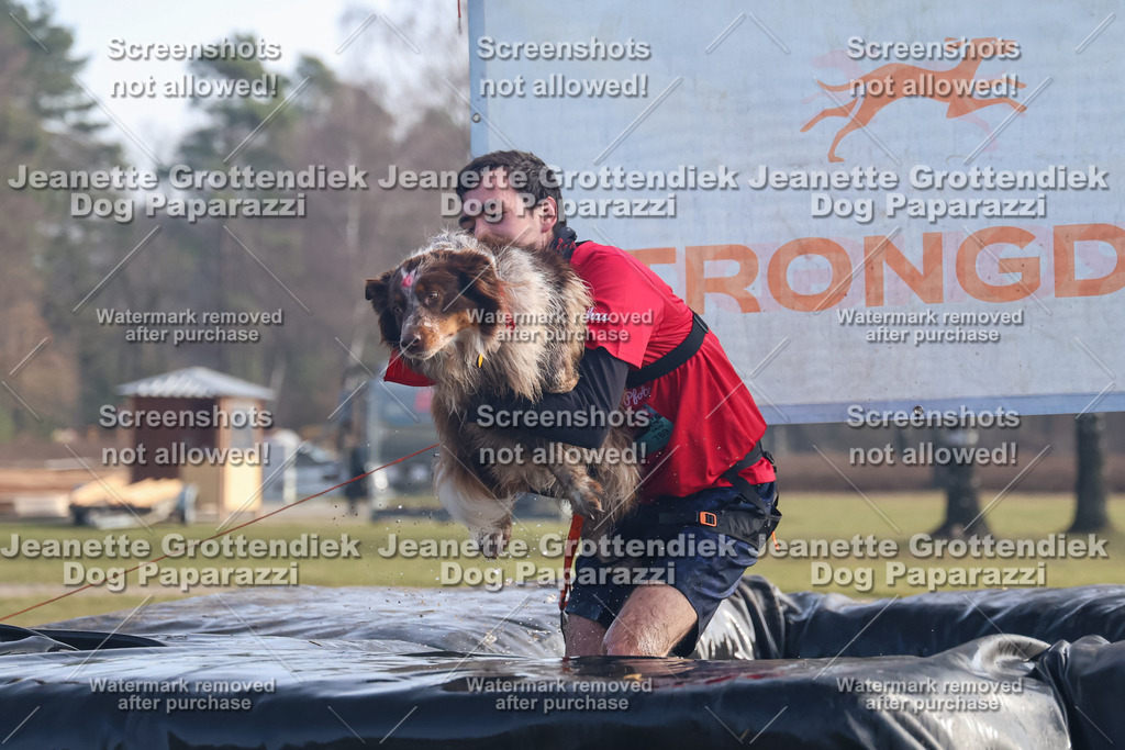 Dog Paparazzi - Strongdog North Mrz26-415 | Dog Paparazzi Jeanette Grottendiek Fotografie & Videografie - Realisiert mit Pictrs.com