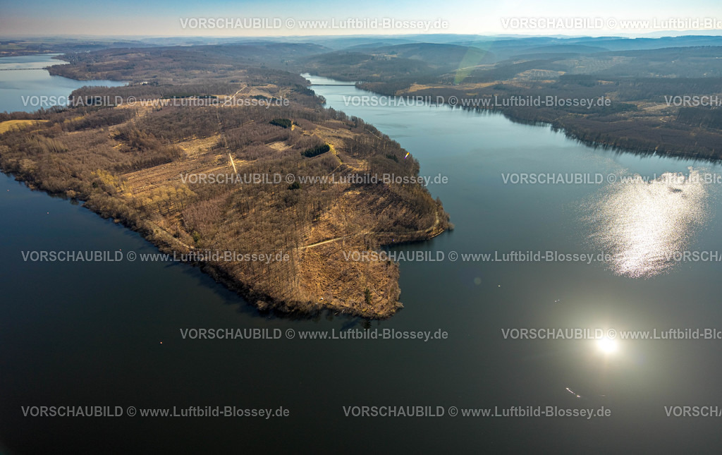 Moehnesee220301667 | Luftbild, Friedwald, Waldfriedhof, Halbinsel im Möhnesee, Waldsterben, Rodungen,   Delecke, Möhnesee, Sauerland, Nordrhein-Westfalen, Deutschland