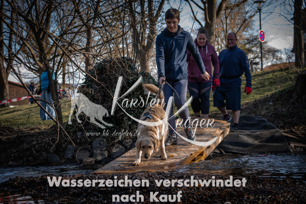 0829_ZZ91676-2 | kk-dogfotos