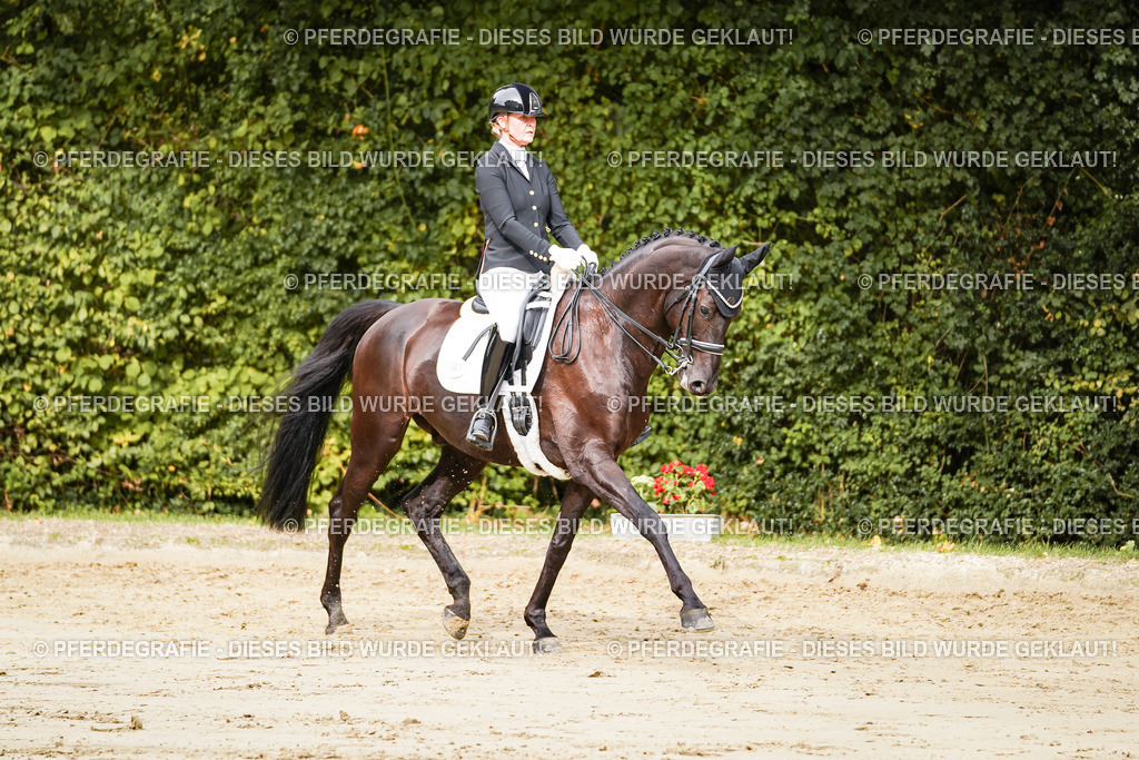 DSC02192 | Pferdegrafie